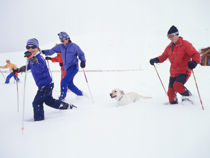 Pet Friendly Rentals Available at Snowshoe Mountain